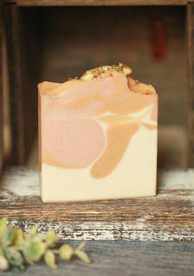 Champagne Toast Artisan Soap, Luxury Shea Butter Soap