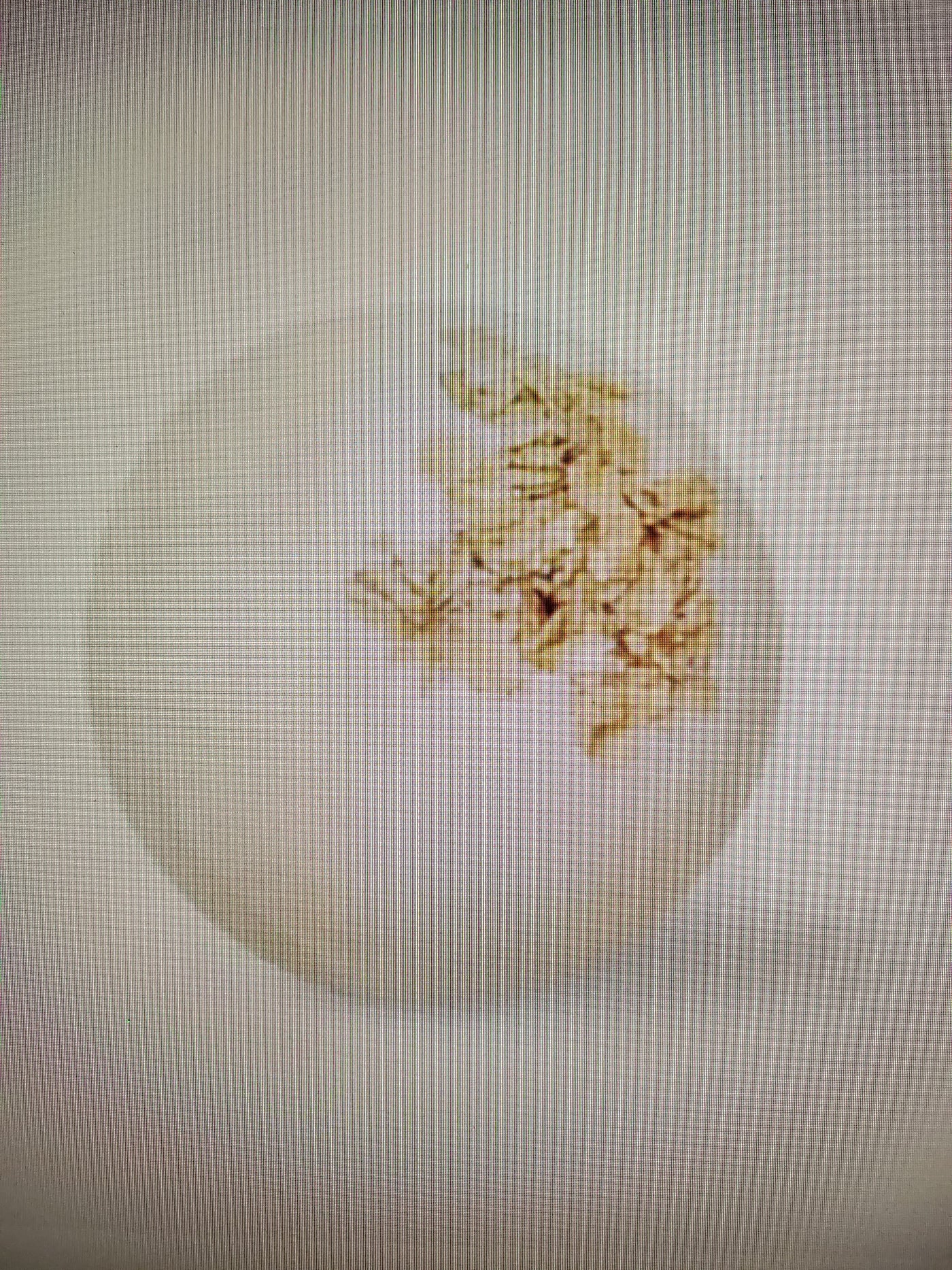 Coconut Bath Bomb w/ Epsom Salt