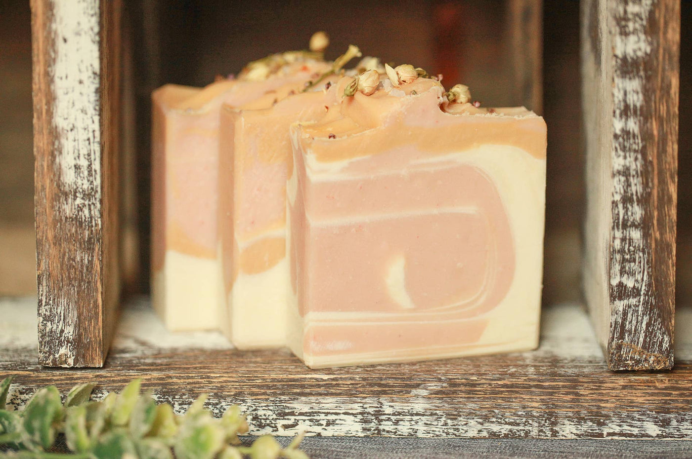 Champagne Toast Artisan Soap, Luxury Shea Butter Soap